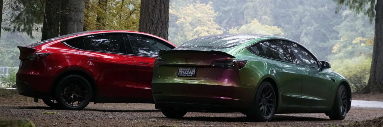 Austin Ferguson banner