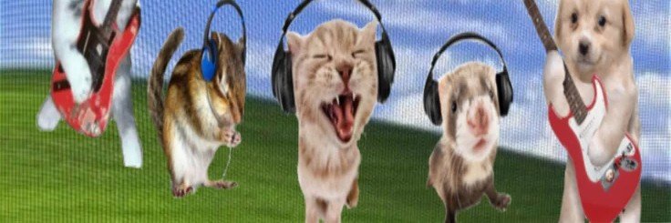 MilliedumbVT's profile banner image