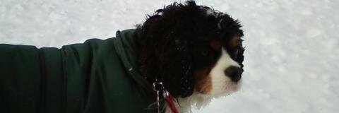 PTRQ's profile banner image