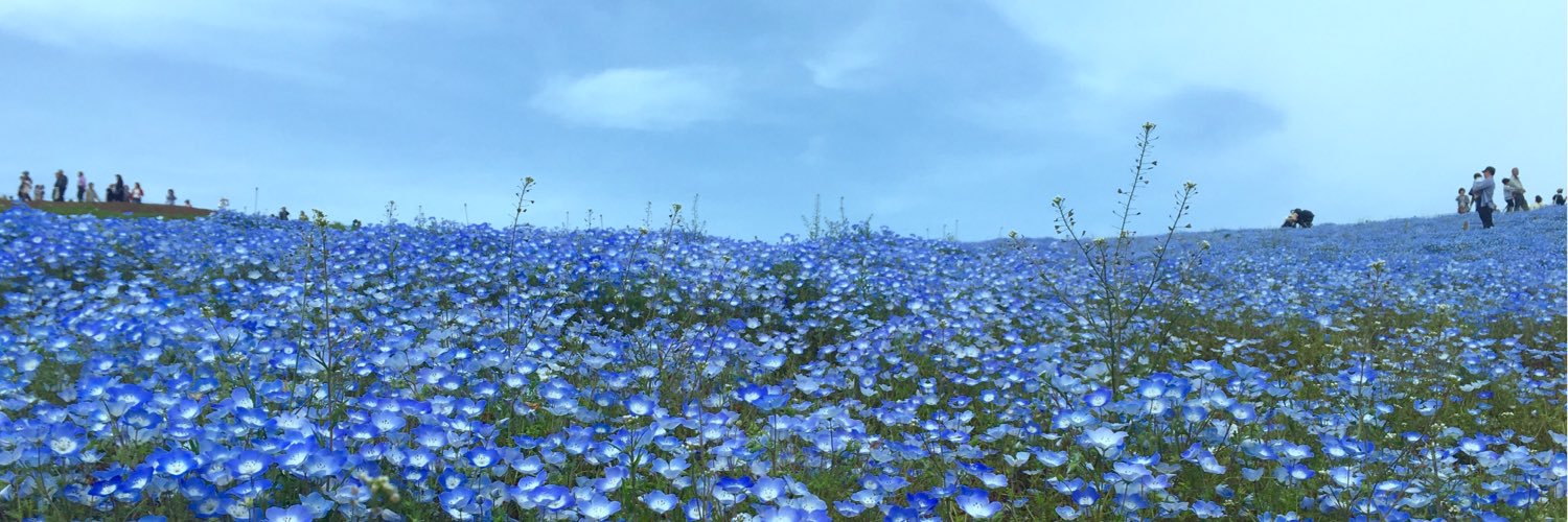 hello_nyanko's profile banner image