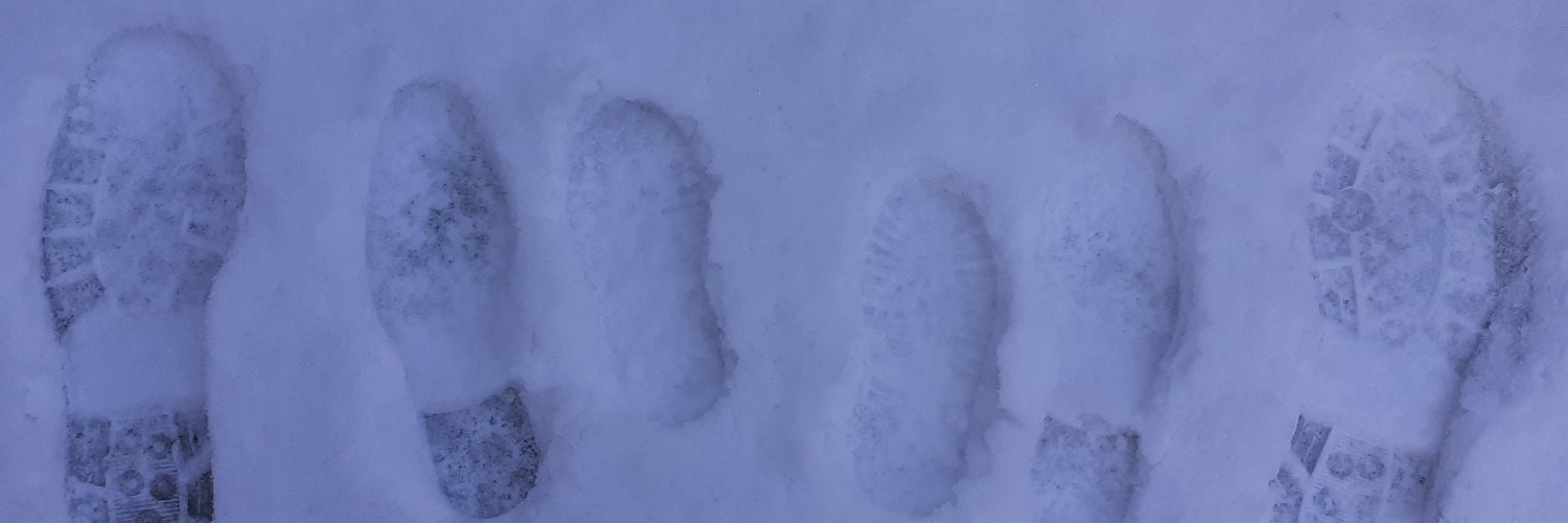 Stephen Tripp banner