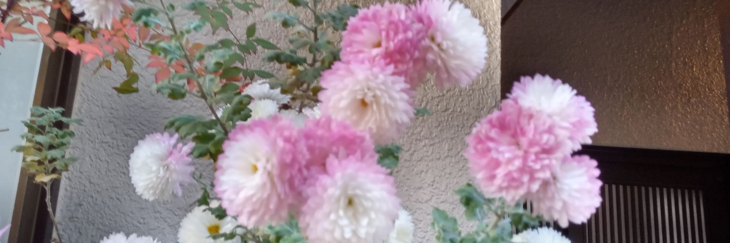 ichirookadaedo's profile banner image