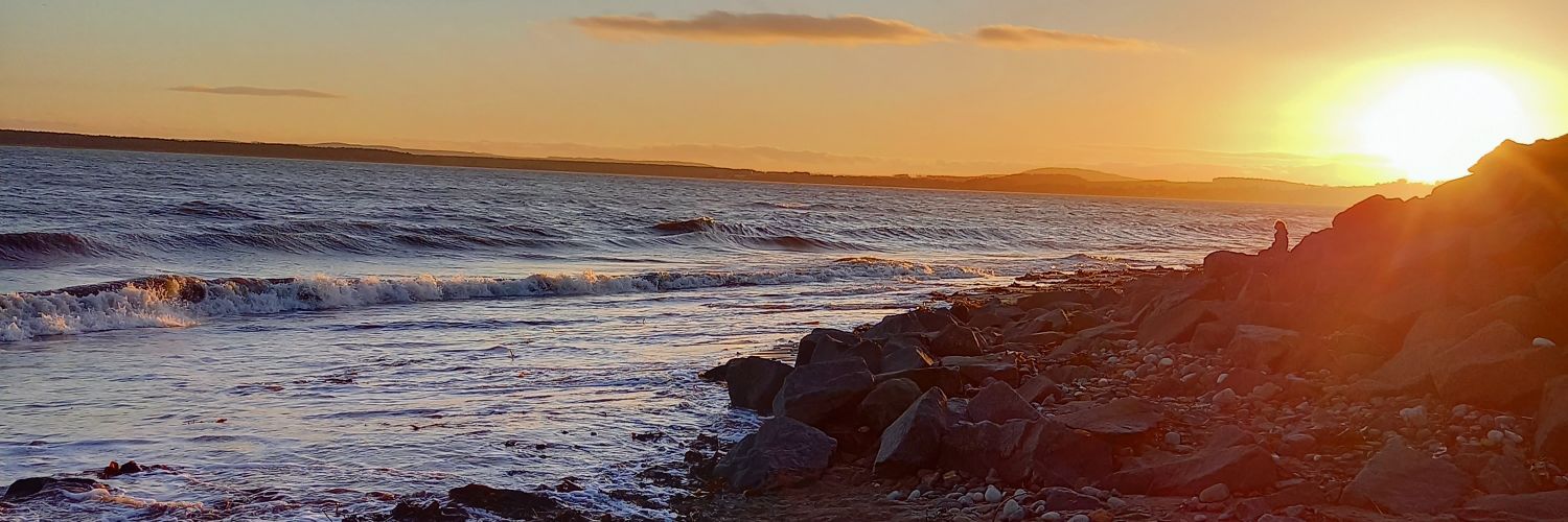 fizer82's profile banner image