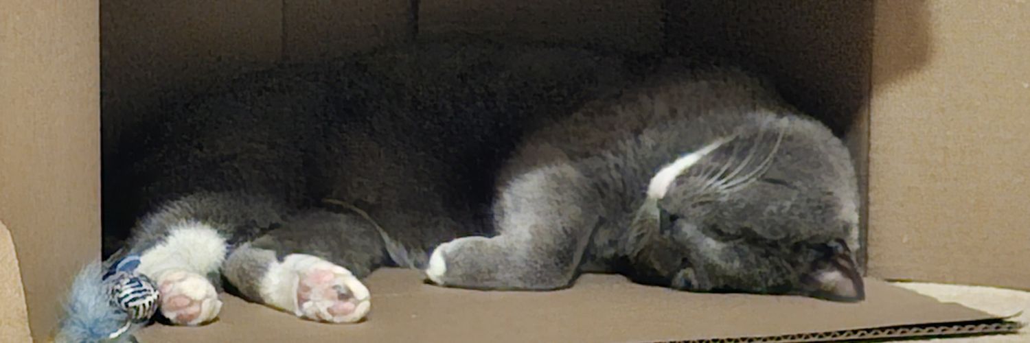 Jeremy Monroe banner