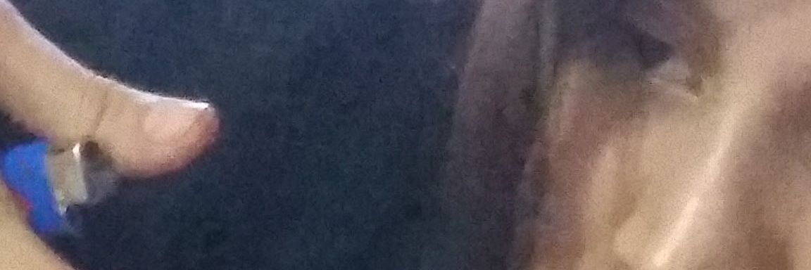 K banner