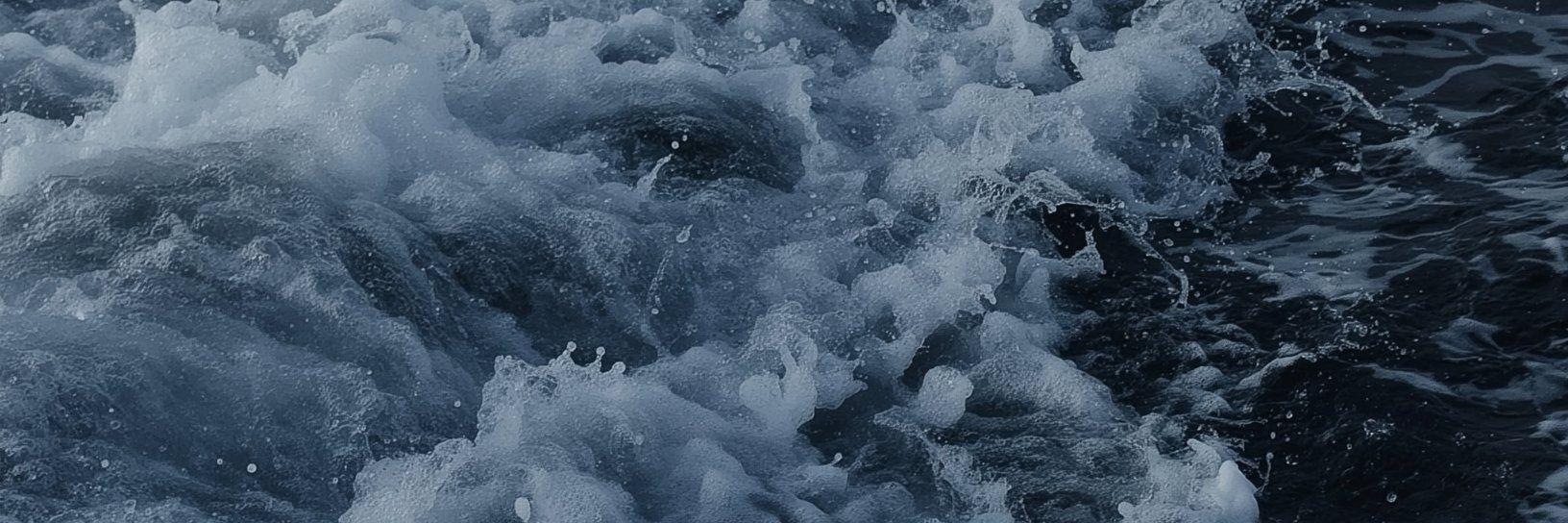 angelique banner
