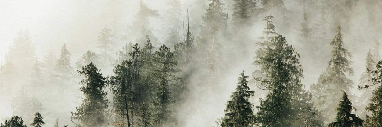 Bart_thebear's profile banner image