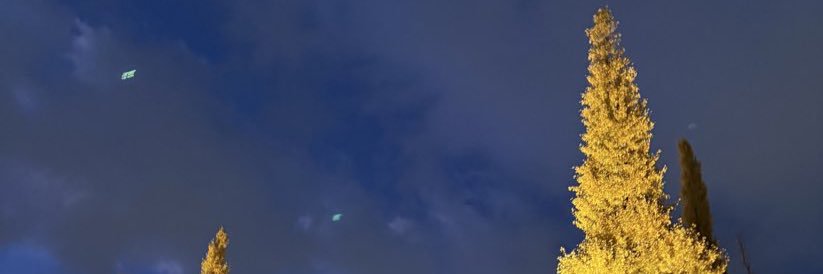 __aya00__'s profile banner image