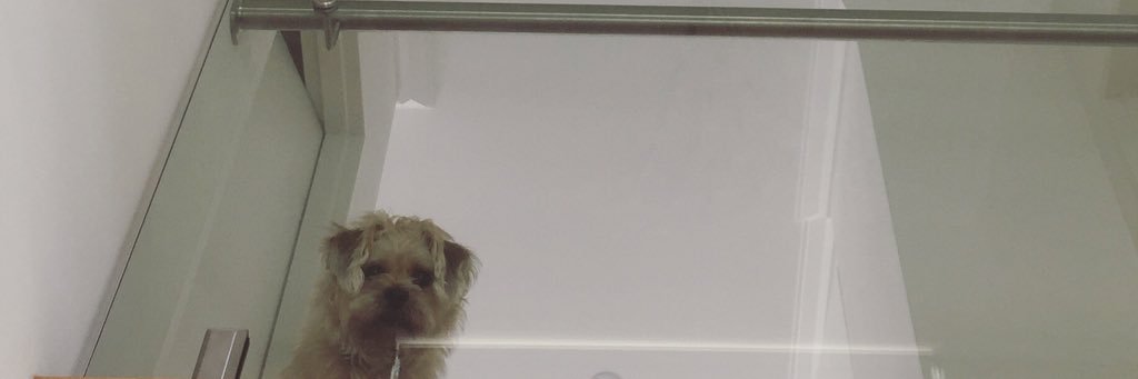 hnhmryl's profile banner image