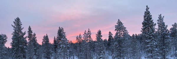 Daniel_Woodrow Profile Banner