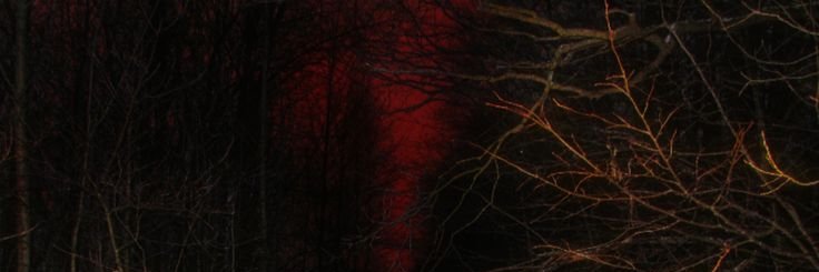 Folly IRL banner