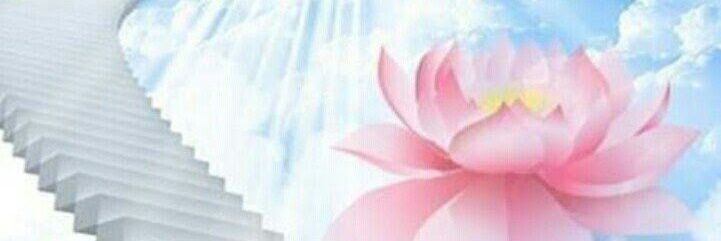 __meeae's profile banner image
