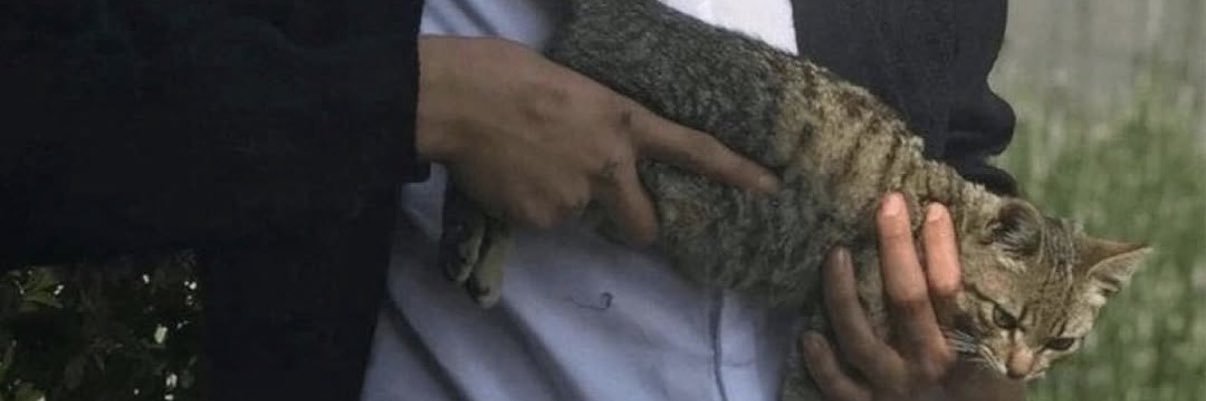 Aخsaraيl'ي banner