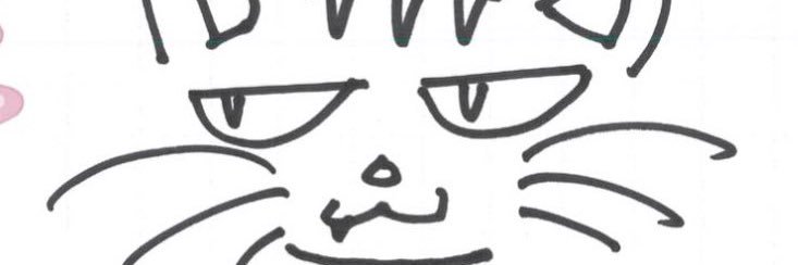 /ᐠ - ˕ -マ⋆˚࿔ banner