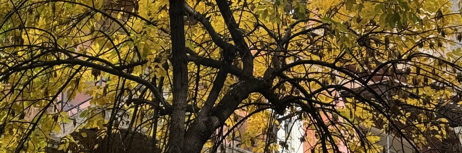 mø :) banner