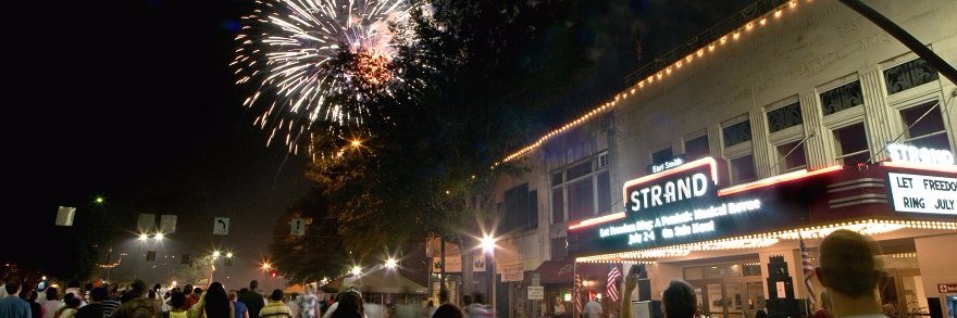 Molly Metz banner