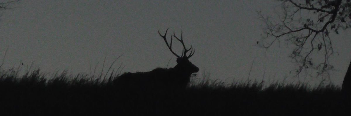 ‍ ‍ ‍ ‍ ‍ ‍ ‍ ‍ ısαk. banner