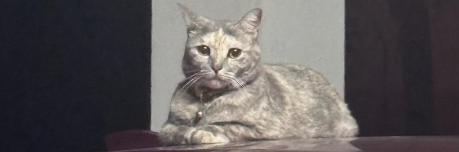 tehafeeha's profile banner image
