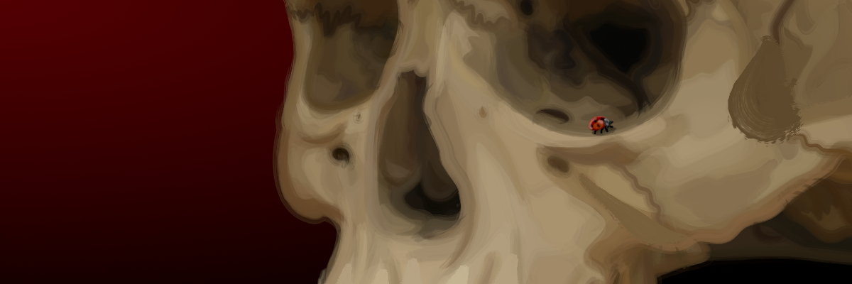 varenke's profile banner image