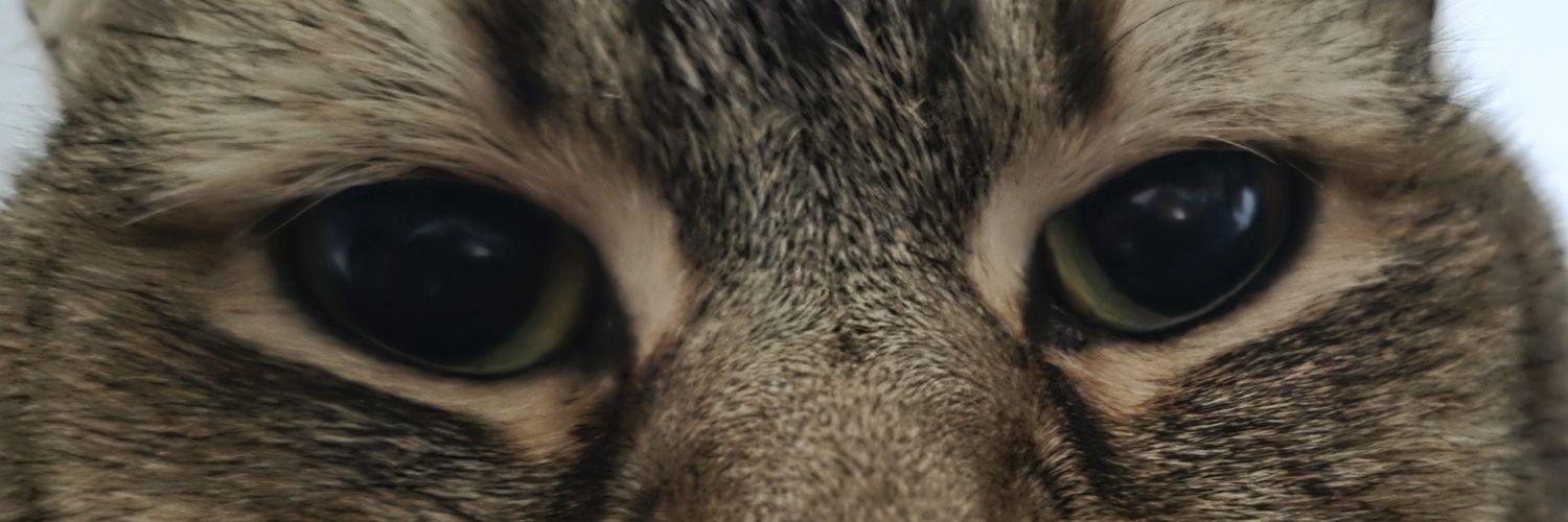 Natalian Autumnfall banner