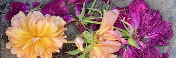 mttthw_ Profile Banner