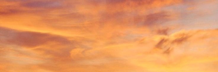 whitegrasss's profile banner image