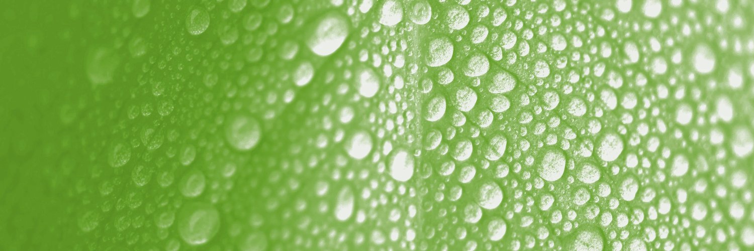 jphytomed_MDPI's profile banner image