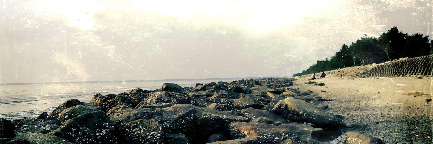 fiequ's profile banner image