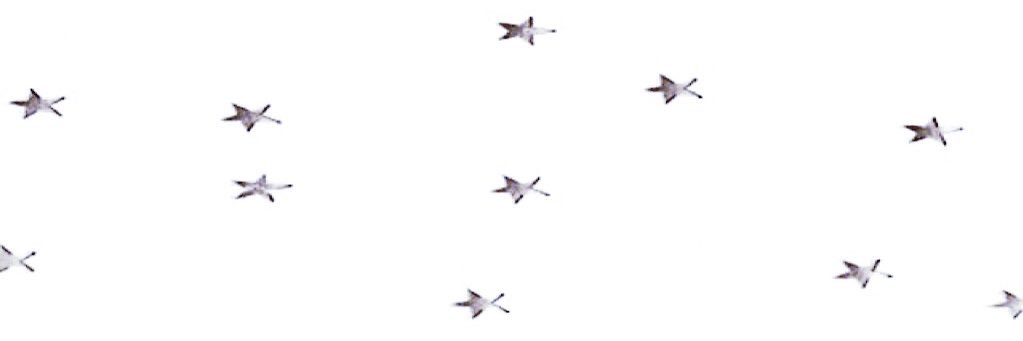 icntstopcrying's profile banner image