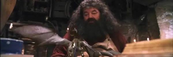 Acervo Norberto/a banner