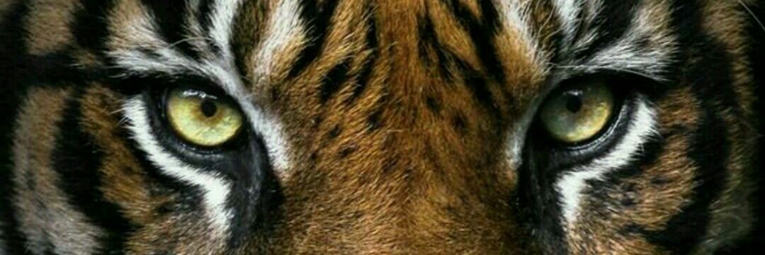 LidiaPrz24's profile banner image