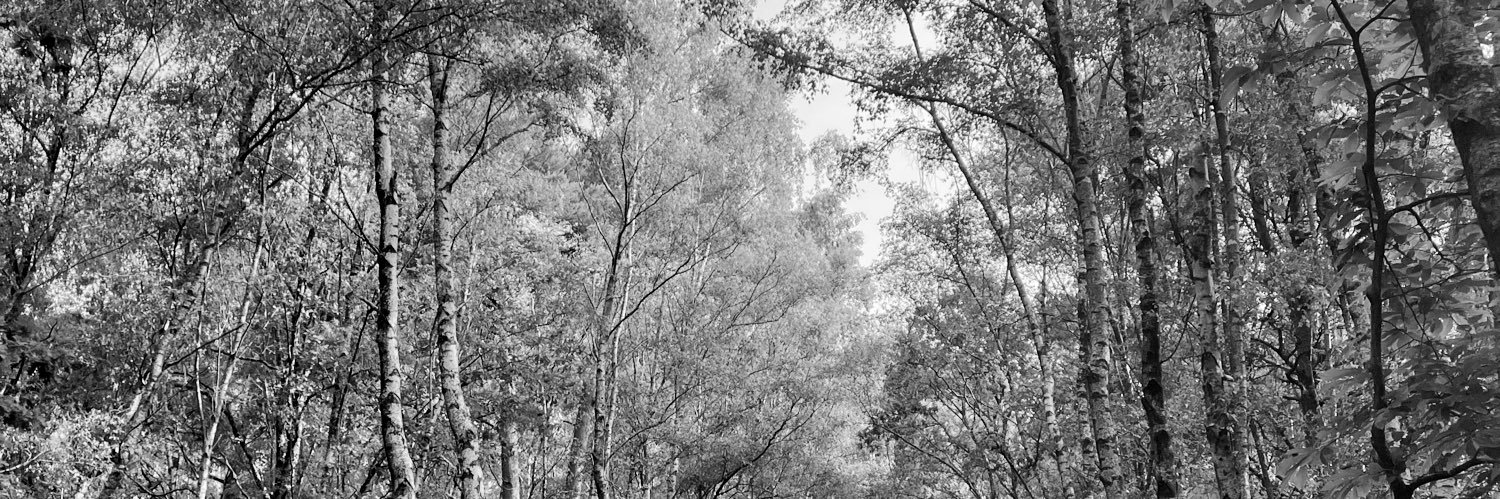 santee76's profile banner image
