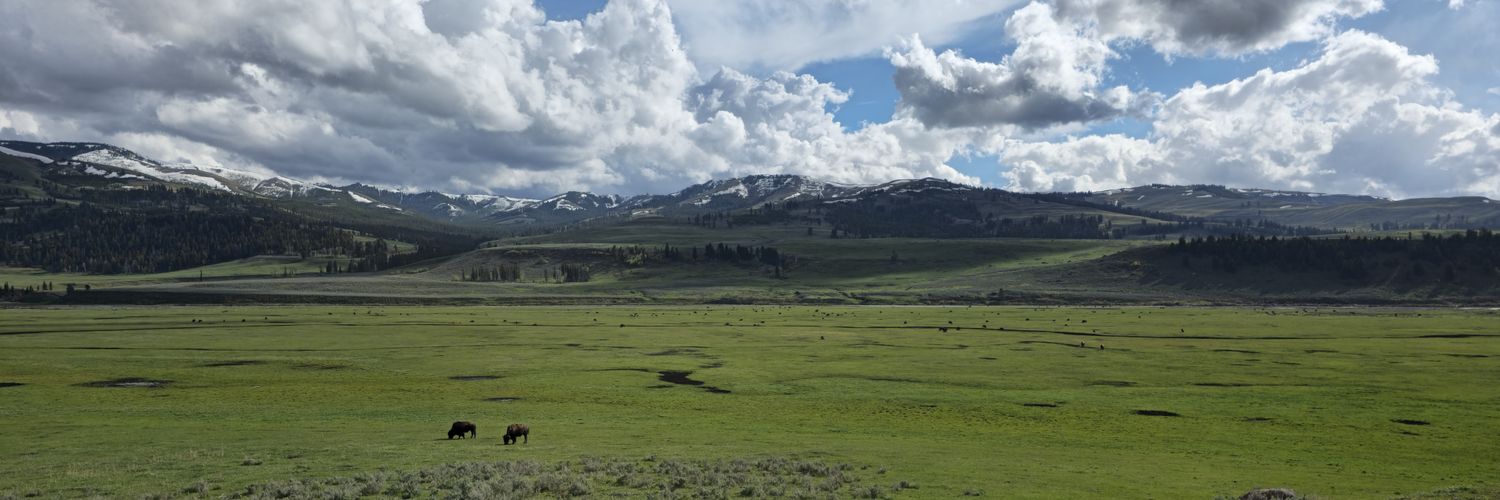 puddleofmudds's profile banner image