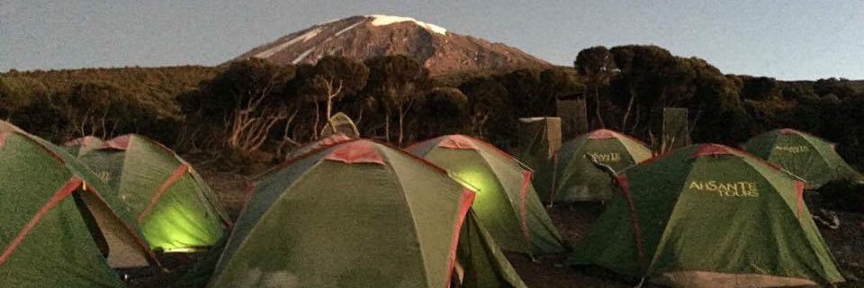 Mimsle's profile banner image