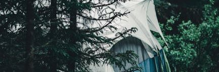 Tanya Ferguson banner