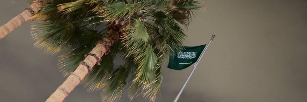 Areej Saeed banner
