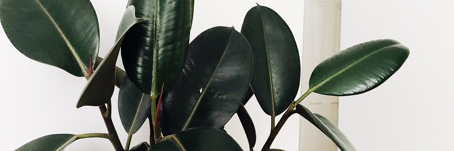 kylielane's profile banner image
