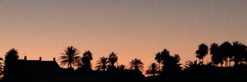 Marida76's profile banner image