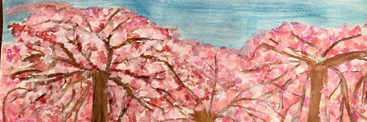 LAURA FINDLAY banner