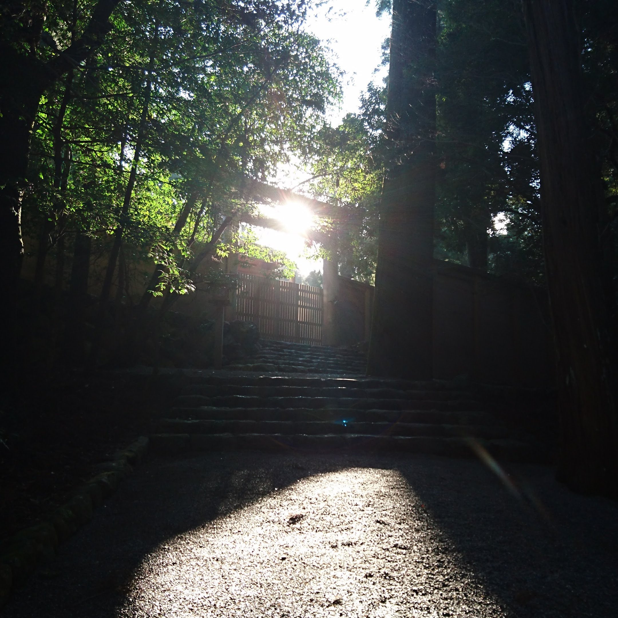 cocoronoyoga's profile banner image