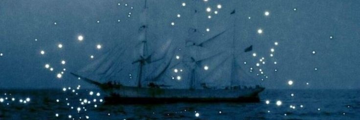 ⋆.𖦹⋆.° 𝐅𝐈𝐑𝐒𝐓 ꩜𝐅𝐅𝐈𝐂𝐄𝐑. banner