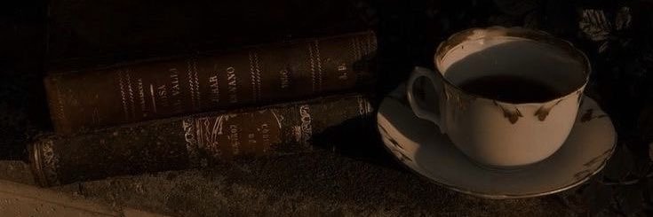 Rita Castillo banner