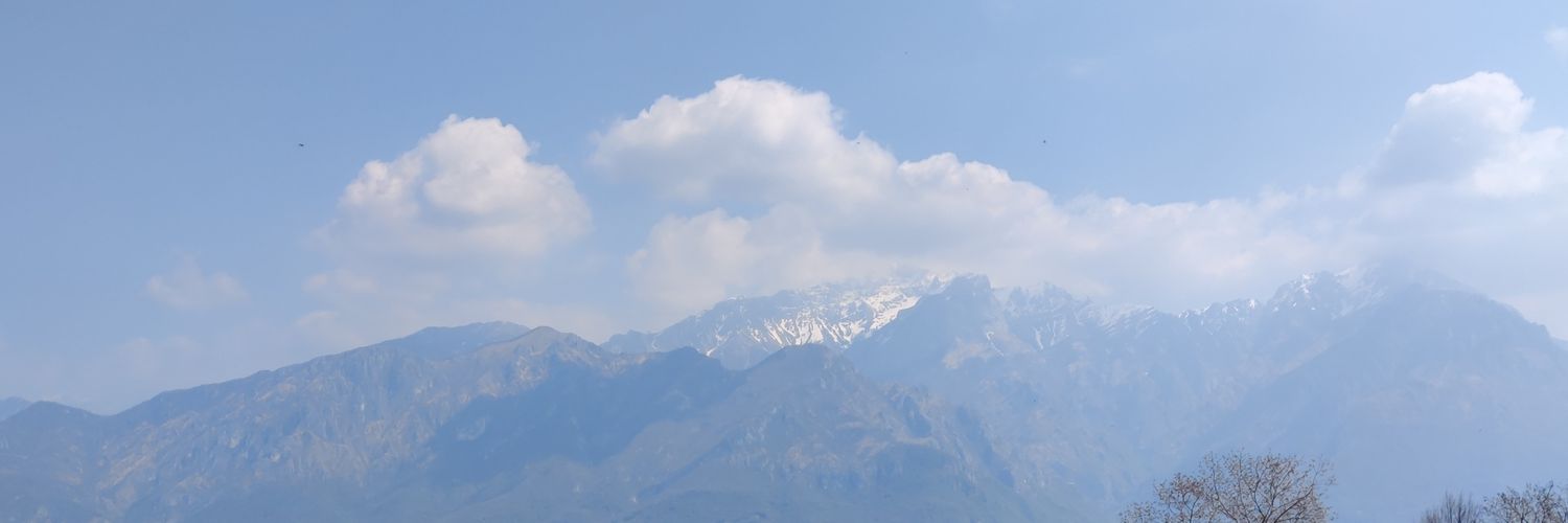 WalterGrienti's profile banner image