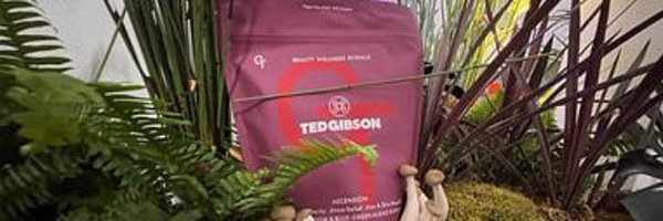 tedgibson Profile Banner