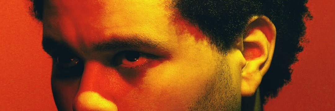 zubbzero banner