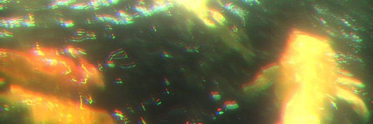 sarakodara's profile banner image