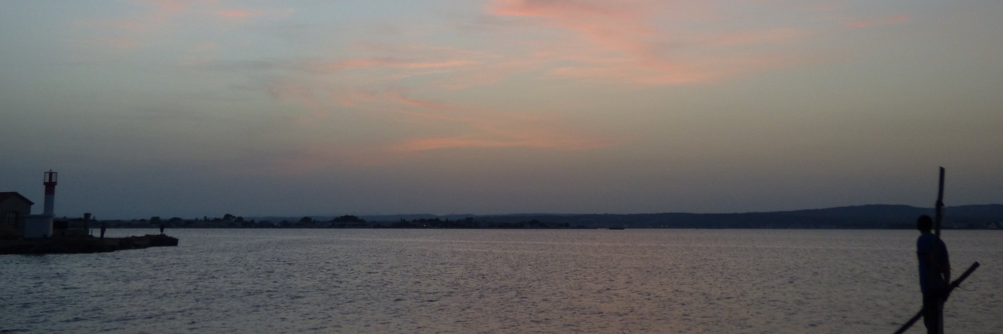 Tsuki_Chapi's profile banner image