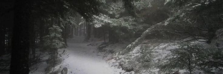 𝒽ollyn𝓪𝓷ce.𐙚 banner