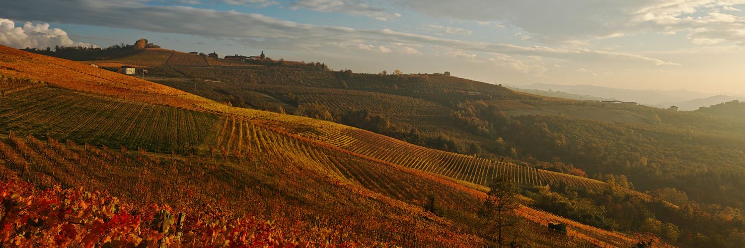 FratelliAimasso's profile banner image