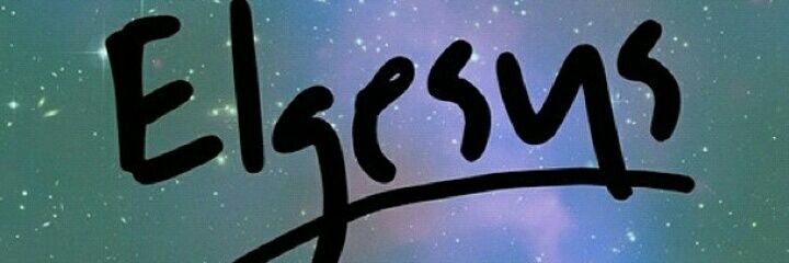 elgesys store banner